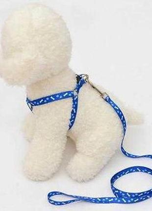 Поводок со шлейкой для собак , щенков , кошек .