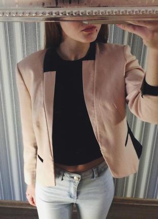 Стильний класичний піджак dorothy perkins