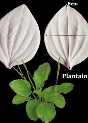 Силіконовий молд "листя подорожника" - розмір молдовського 8*5,8 см, силікон