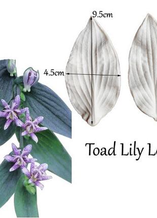 Силіконовий молд "листя лілії" - розмір молдовського 9,5*4,5 см, силікон