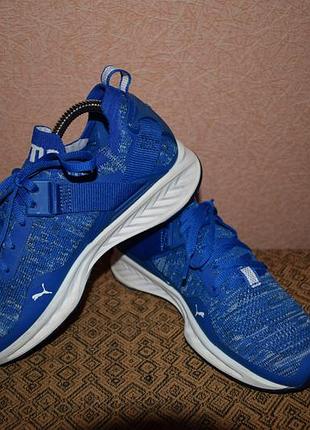 Кросівки puma ignite evoknite lo