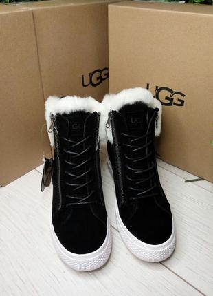 Ugg australia угги женские ботинки черные со скрытой подошвой (каблуком)