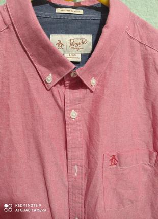 Х5. хлопковая розовая рубашка с короткими рукавами penguin хлопок 💯3 фото