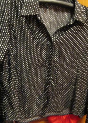 Блуза блузка черная в горох  50 16 l3 фото