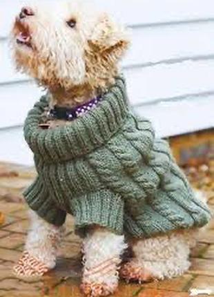 Светр для тварин