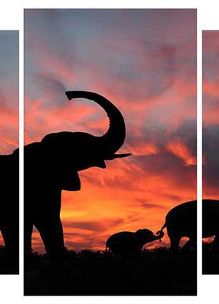 Модульная картина на холсте на стену для интерьера/спальни/офиса dk слоны 100х53 см (m3-t196)
