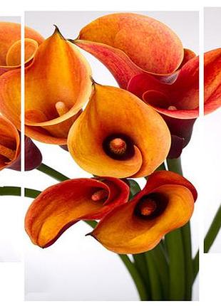 Модульная картина на холсте на стену для интерьера/спальни/офиса dk букет калл 100х53 см (m3-t104)