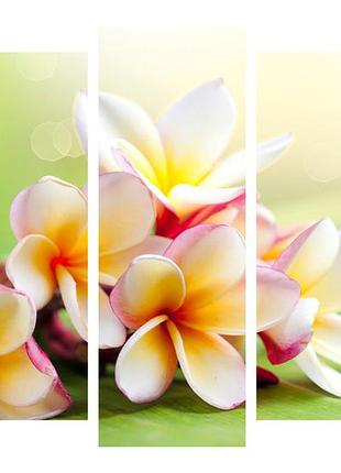 Модульна картина на полотні на стіну для інтер`єру/спальні/прихожої dk квіти 108х80 см (dkpm5-187)