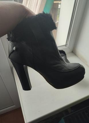 Чоботи c'n'c' costume national