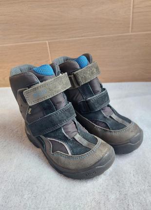 Зимние ботинки ecco 30 размер 2