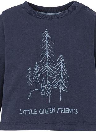 D1-00024, лонгслив, реглан lupilu pure collection, футболка с длинными рукавами, для мальчиков, сини
