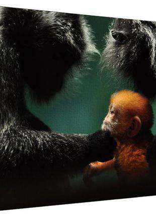 Картина на холсте на стену для интерьера/спальни/офиса обезьянки 40х50 см (h4050_ym015)