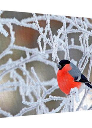 Картина на холсте на стену для интерьера/спальни/офиса зимняя птичка 45х65 см (h4565_15ng005)