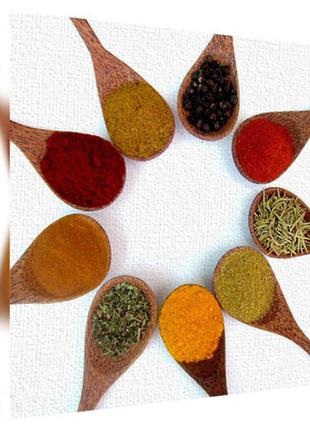 Картина на холсте на стену для интерьера/спальни/офиса специи на разный вкус 65х65 см (h6565_ym008)