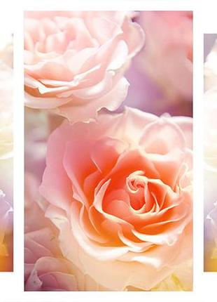 Модульна картина на полотні на стіну для інтер`єру/спальні/прихожої dk троянди 100х53 см (m3-4)