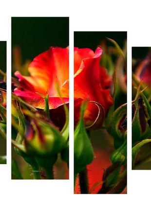 Модульна картина на полотні на стіну для інтер`єру/спальні/прихожої dk троянда 112х75 см (m4-c193)