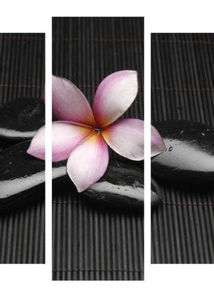 Модульная картина на холсте на стену для интерьера/спальни/офиса dk гармония 108х80 см (dkpm5-с1070)