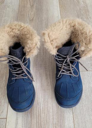 Черевики чоботи ugg ботинки сапоги