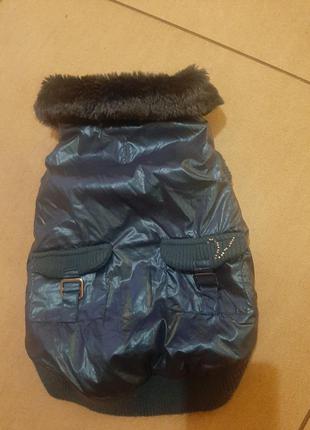 Гламурна курточка з хутряним коміром для міні йорка і чихуашки