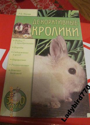 Книга про кроликів кролик декоративний догляд життя