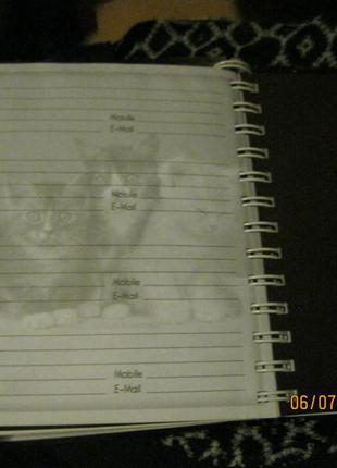 Щоденник книга кішки, кошенята альбом з британії5 фото