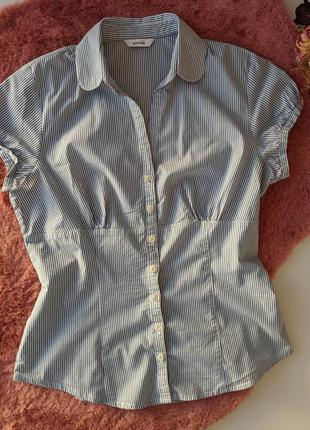 Pimkie блузка белая в синюю полоску с коротким рукавом блуза2 фото