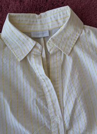 Белая блуза в полосочку2 фото