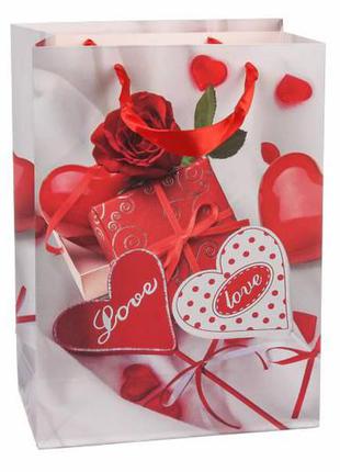 Подарочные пакеты "heart" с сердечком (s) 24*18*8,5 см (упаковка 12 шт)
