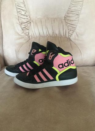 Коосівки adidas