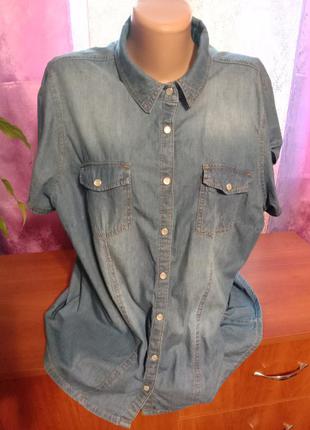 Yessica джинсовая рубашка с подкатом рукава 50-52р1 фото