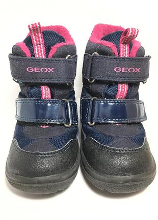 Черевики  зимові geox 2