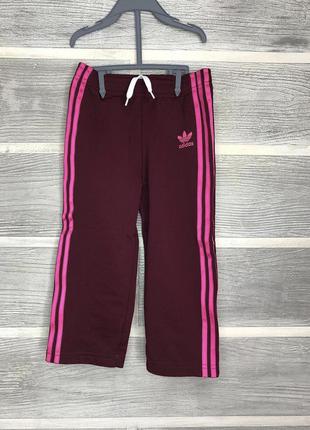 Штаны adidas1 фото