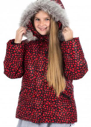 Куртка на дівчинку wojcik червоного кольору1 фото