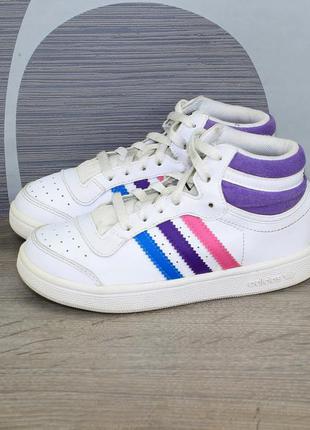 Кросівки adidas