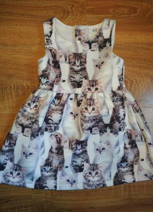 Платье hm с котиками 1,5-2 года теплое