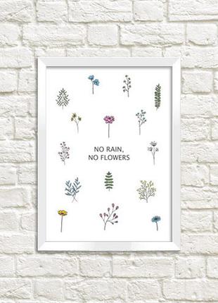 Постер в рамке no rain no flowers (wmt5_ex013)