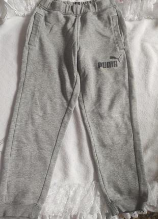 Спортивные штаны puma