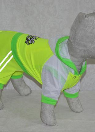 Костюм для собак "фітнес"