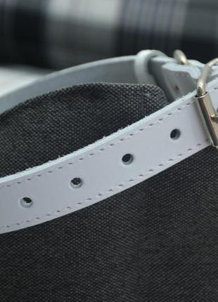 Кожаный ошейник для собак и котов