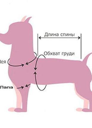 Комбинезон для собак зимний норд белый5 фото