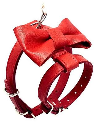 Шлейка для собак бабочка