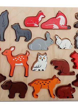 Рамка-вкладыш hega "лесные звери" (142)