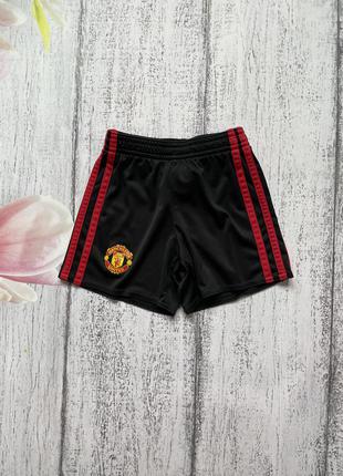 Крутые шорты доя спорта manchester united adidas 3года1 фото