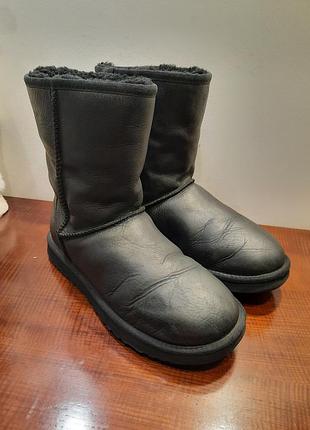 Шкіряний ugg оригінал