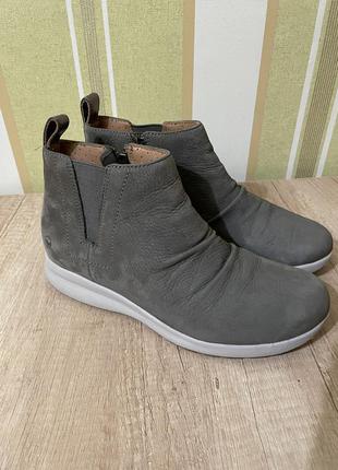 Черевики , ботинки clarks