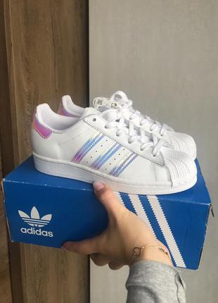 Кросівки adidas original