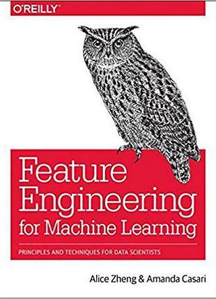 Feature engineering for machine learning: principles and techniques for data scientists 1st edition, alice