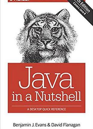 Java in a nutshell: a desktop quick reference 6th edition, benjamin j evans
