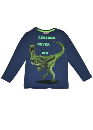 Реглан для мальчика стильный с принтом динозавр