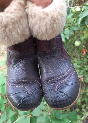Шкіряні зимові чобітки clarks шкіра/замша3 фото